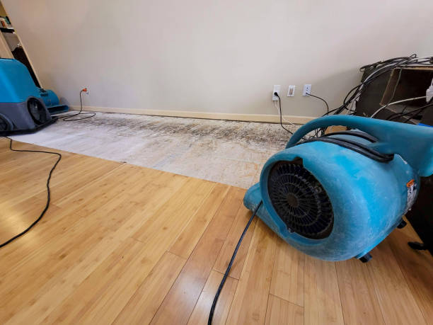 Professional Sewage Cleanup technician working in Counselor, NM